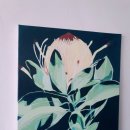 여름식물 인테리어 이미지