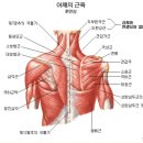 예등 | 대구피부관리 보니예 등필링 후기 - 몸의 원리를 아는 진짜 테라피로 완성한 매끄러운 등라인! ✨