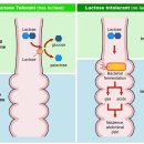 유당한의원 이미지