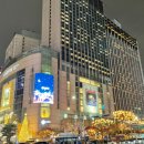 분도메디컬 네이버블로그
