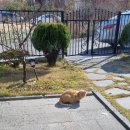 지인동물약품 이미지