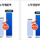 인카 이미지