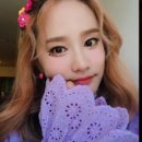 헤이지니 이미지