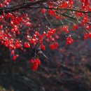 [371번째]한국기행...뜨거워서...겨울...함께하면 아니 좋을까..12/10(토)~11(일) 1박여행 이미지