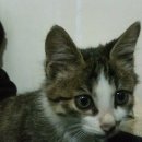 서문세탁소 이미지