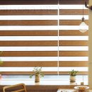 그린라빈 이미지