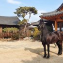 너른마당 이미지