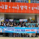 (학교)경포초 이미지