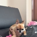 디엘스PC 남광장점 이미지