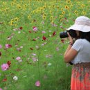 화천여행 이미지