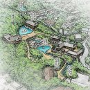 다래와 잣나무 이미지