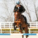 그랑프리 승마파크 이미지