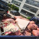 성당우방아파트 이미지