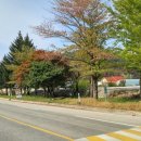 주진초등학교 네이버블로그