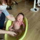 닥터맘 산후도우미 이미지