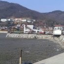 진영호횟집
