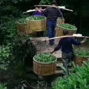 소요산방