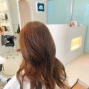 리안헤어산곡더루츠