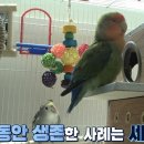 학계농장 이미지