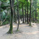골안사입구 이미지