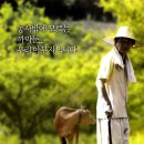 아부지 Daum카페