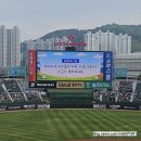 한일모텔 | 불꽃야구 롯데자이언츠 부산 사직야구장 직관 후기, 사직야구장 66블럭 중상탁자석 시야