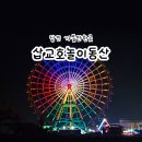풍선다트 사격장 | 충남 당진 가볼만한곳 삽교호놀이동산 여행 필수 코스