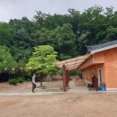 보라자원 이미지