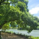 수성유원지(상화동산) 이미지