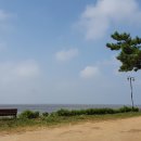 볼음도저어새생태마을 이미지