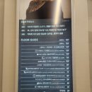 [서울 강남구] 신사역 치아 미백 치과 - 레브치과(내돈내산)