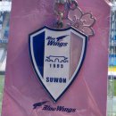 삼성골농장 | 딸기향 해열제 같은 환상적인 해결책이 필요해 (260405 수원삼성 vs 충북청주)