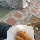 효성메디칼약국 티스토리