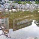 고풍로5번길 이미지