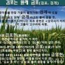 금포로 이미지