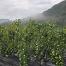 두루봉농원 이미지