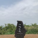 제주써니 이미지