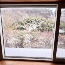 다숲키즈펜션 이미지