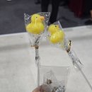 오크(OAK)베이커리카페 | 2026 서울 카페&amp;베이커리페어 시즌1 후기