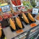 니나포장산업 | 250708 Sapporo