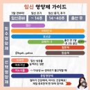 풍진식당 | 차 기록 (끝나지 않는 입덧 지옥, 양치덧, 니프티검사 후기 및 비용, 1차 기형아검사, 12주 안정기 진입...