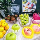 농협경제지주주식회사(소매체인본부) | 과일선물세트 : 농협과일맛선 8월제철과일 레드용과 샤인머스켓 복숭아 청사과