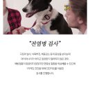 휴 동물병원 이미지