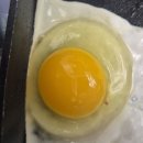 내돈내산 _ 쿠팡 무항생제 계란 후기｜성조숙증 걱정없는 청라상회 골드계란 60구