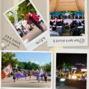 2024경남고성공룡세계엑스포 이미지