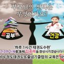 용인대엘리트태권도 이미지