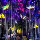 광명동굴 | 광명동굴 후기 서울 근교 가볼 만한 곳 베스트 입장료 코스 볼거리 총정리