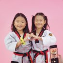 월드베스트 태권도장 이미지