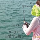 방파제낚시 이미지
