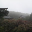 민주지산신선농장